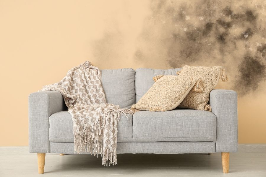 Mold growth discovered behind a couch in a Central Florida home during spring