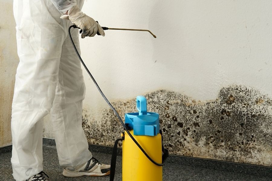 Professional mold treatment in a Florida home during spring humidity season