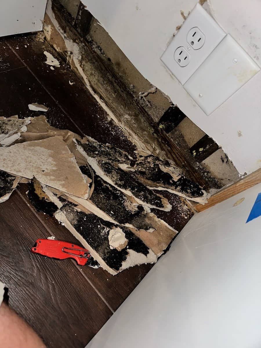 water damage ocala
