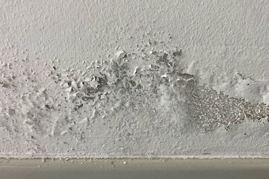 Water stains and damage on wall from appliance leak