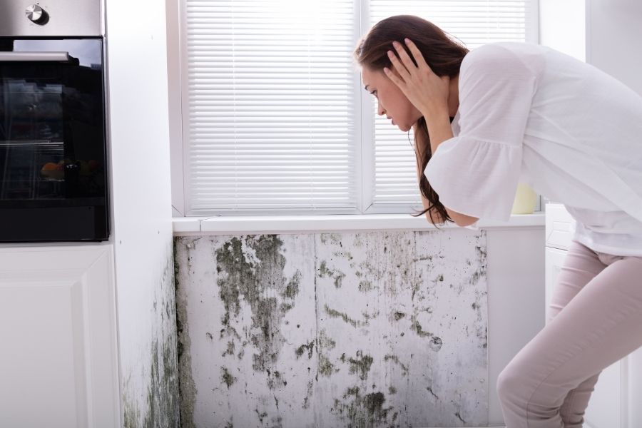 Woman discovering mold growth on kitchen wall