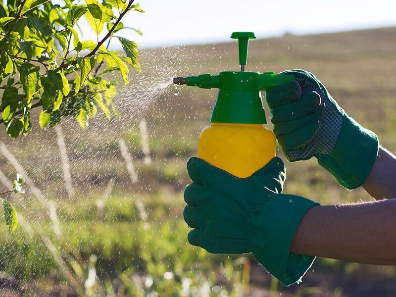Pesticide — Garden Chemicals in Pinelands, NT