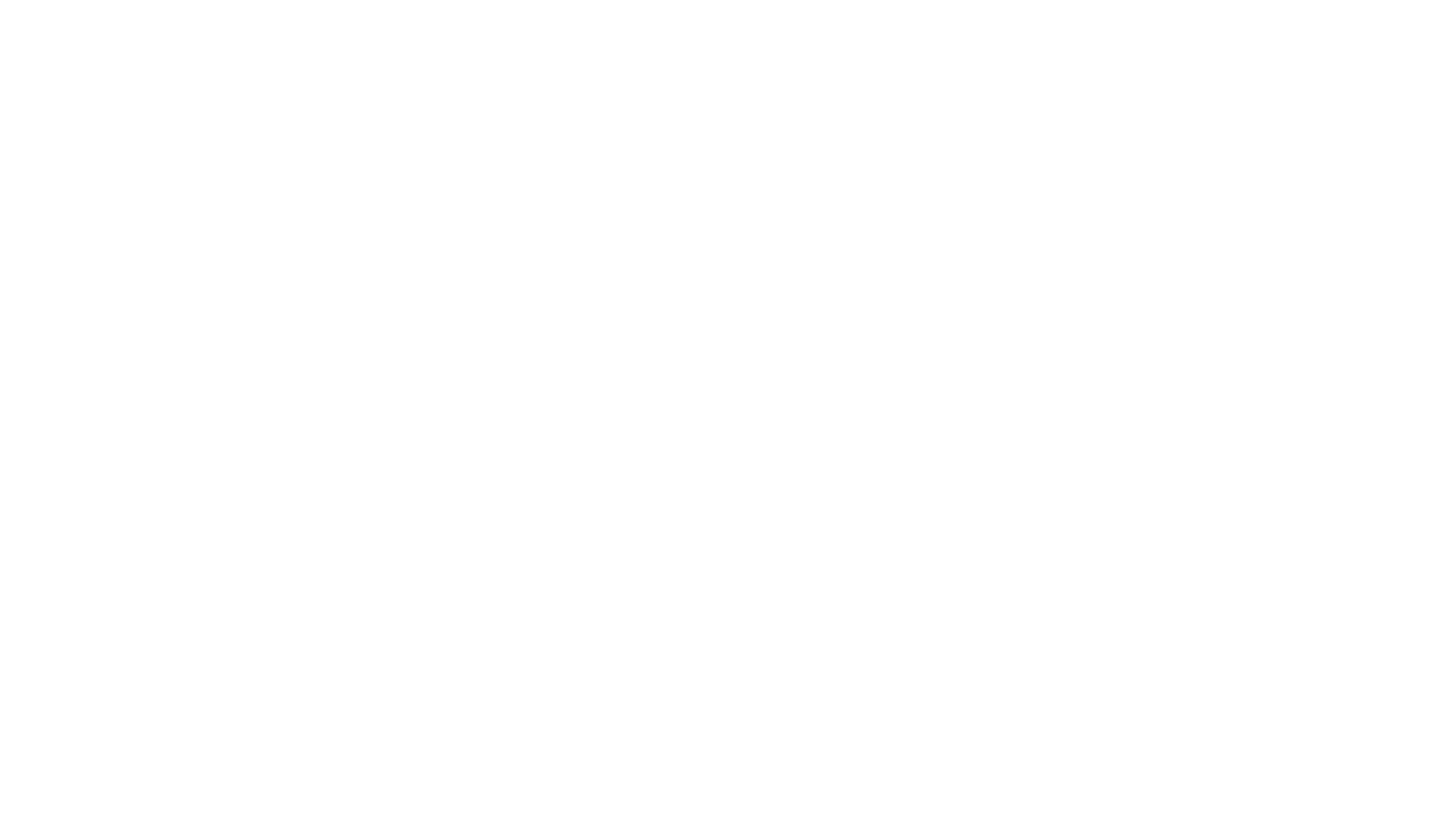 Four Seasons Storage white logo