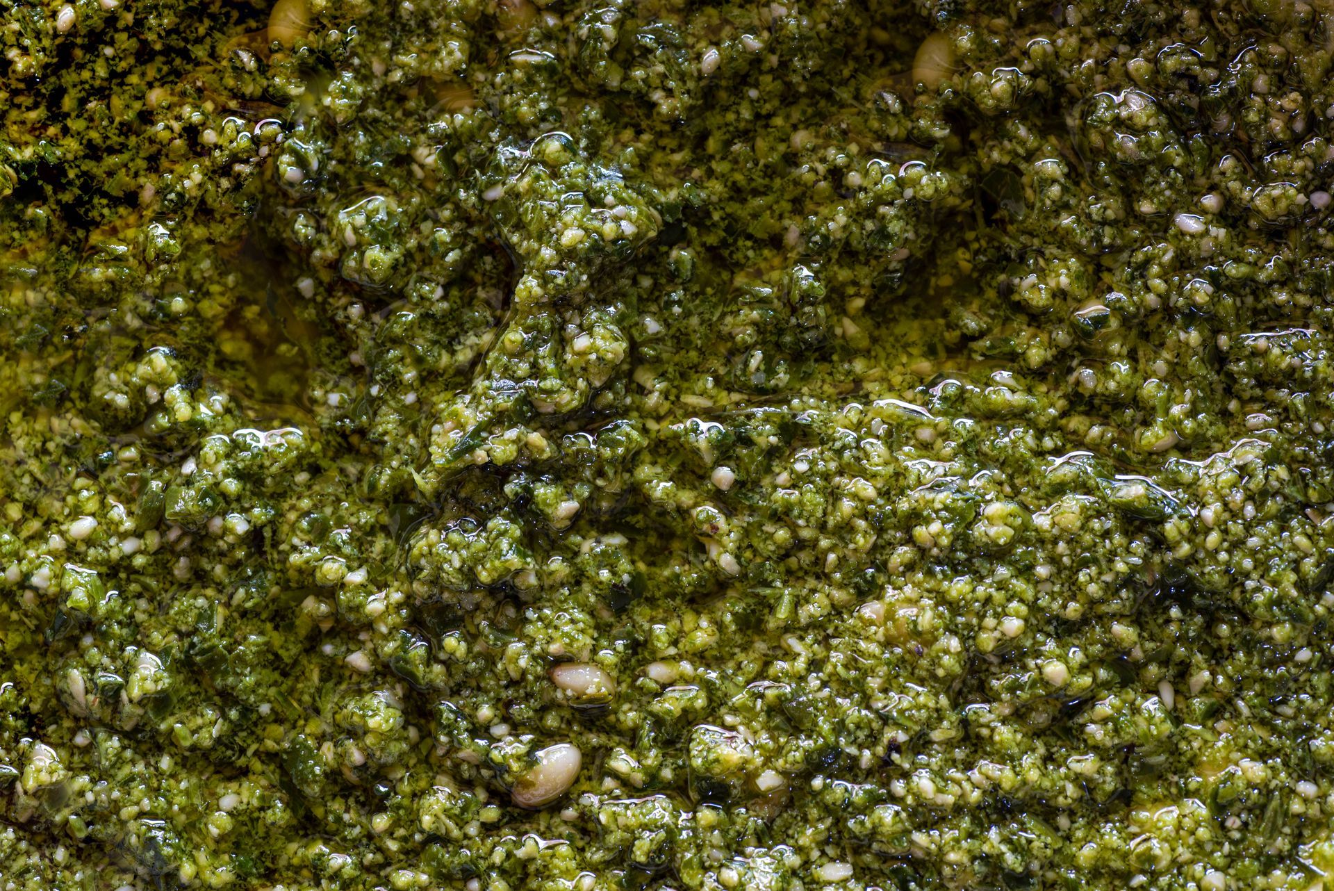 Primo piano della salsa pesto verde brillante, luccicante di olio e con aglio visibile.