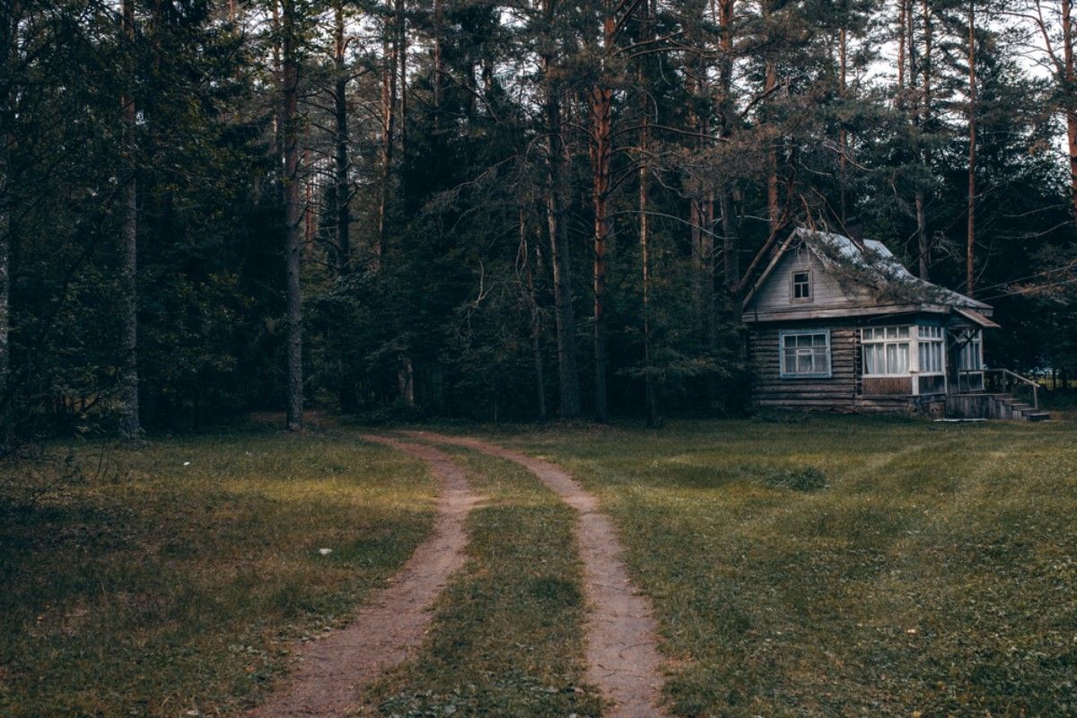 Aizaugušo mājvietu nozīme Latvijas ainavā