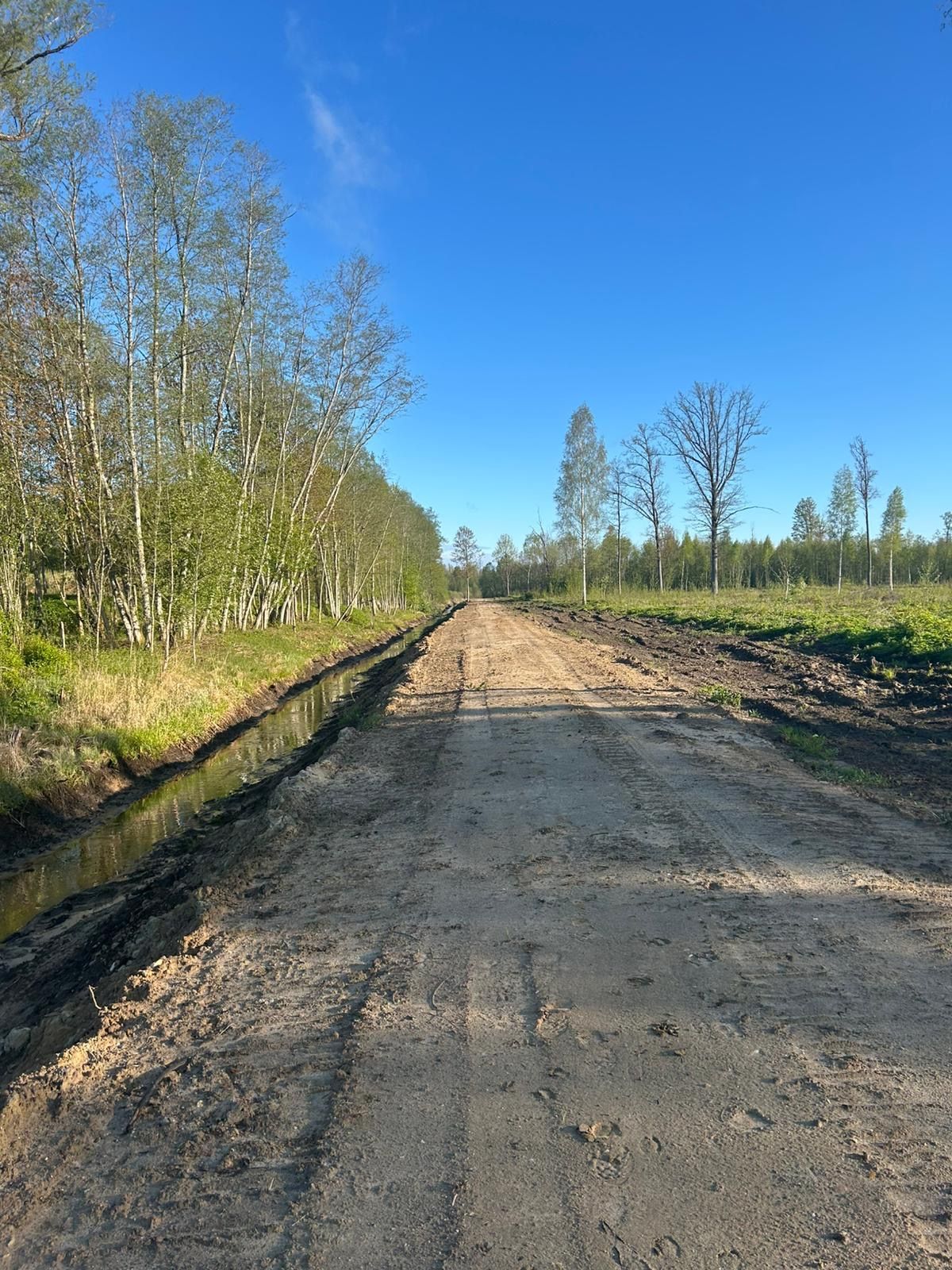 PK Mežs SIA | Jaunaudžu kopšanas pakalpojums, bilde 2