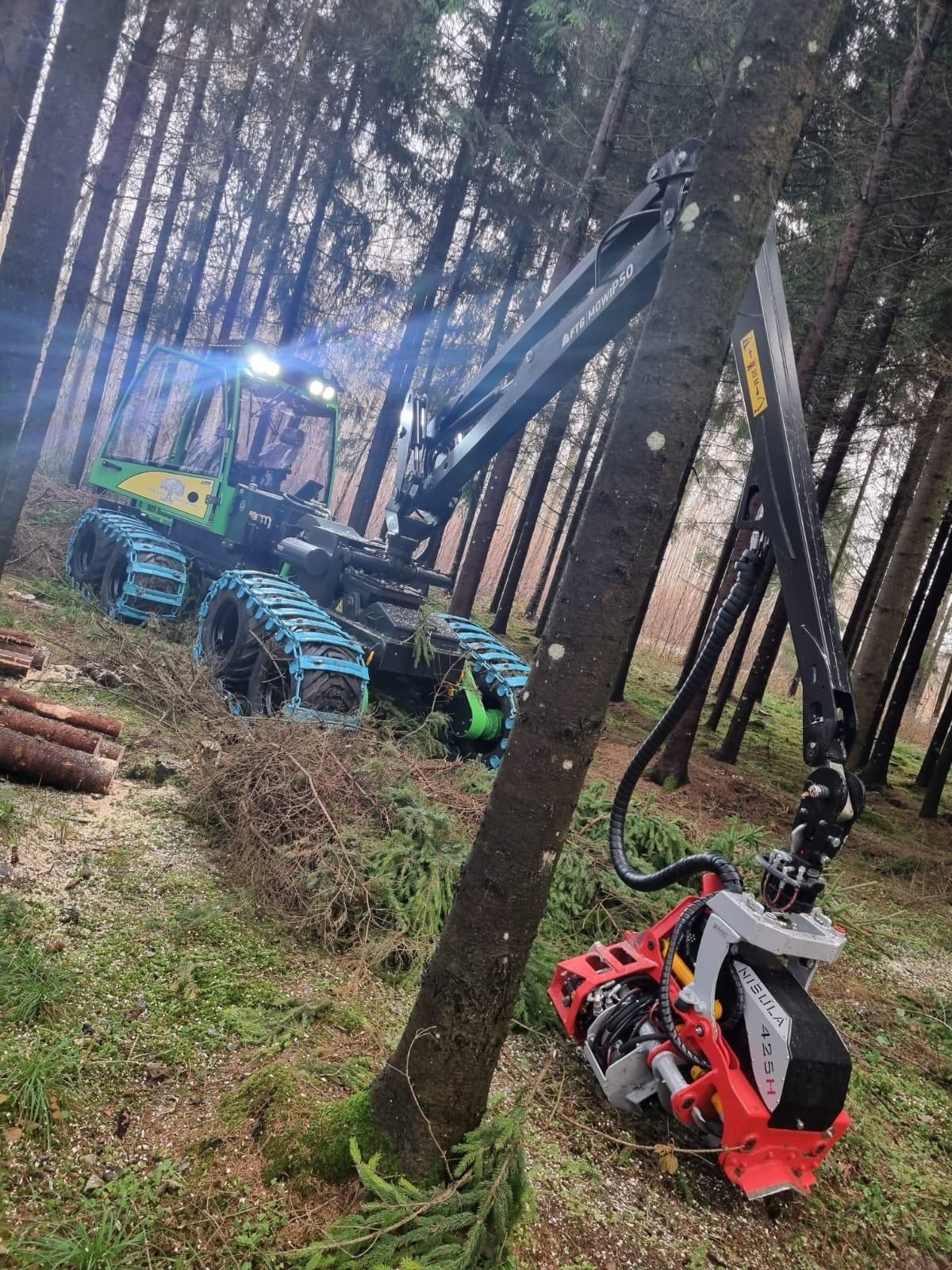 PK Mežs SIA | Jaunaudžu kopšanas pakalpojums, bilde 5