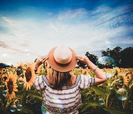 A woman wearing a hat is standing in a field of sunflowers.