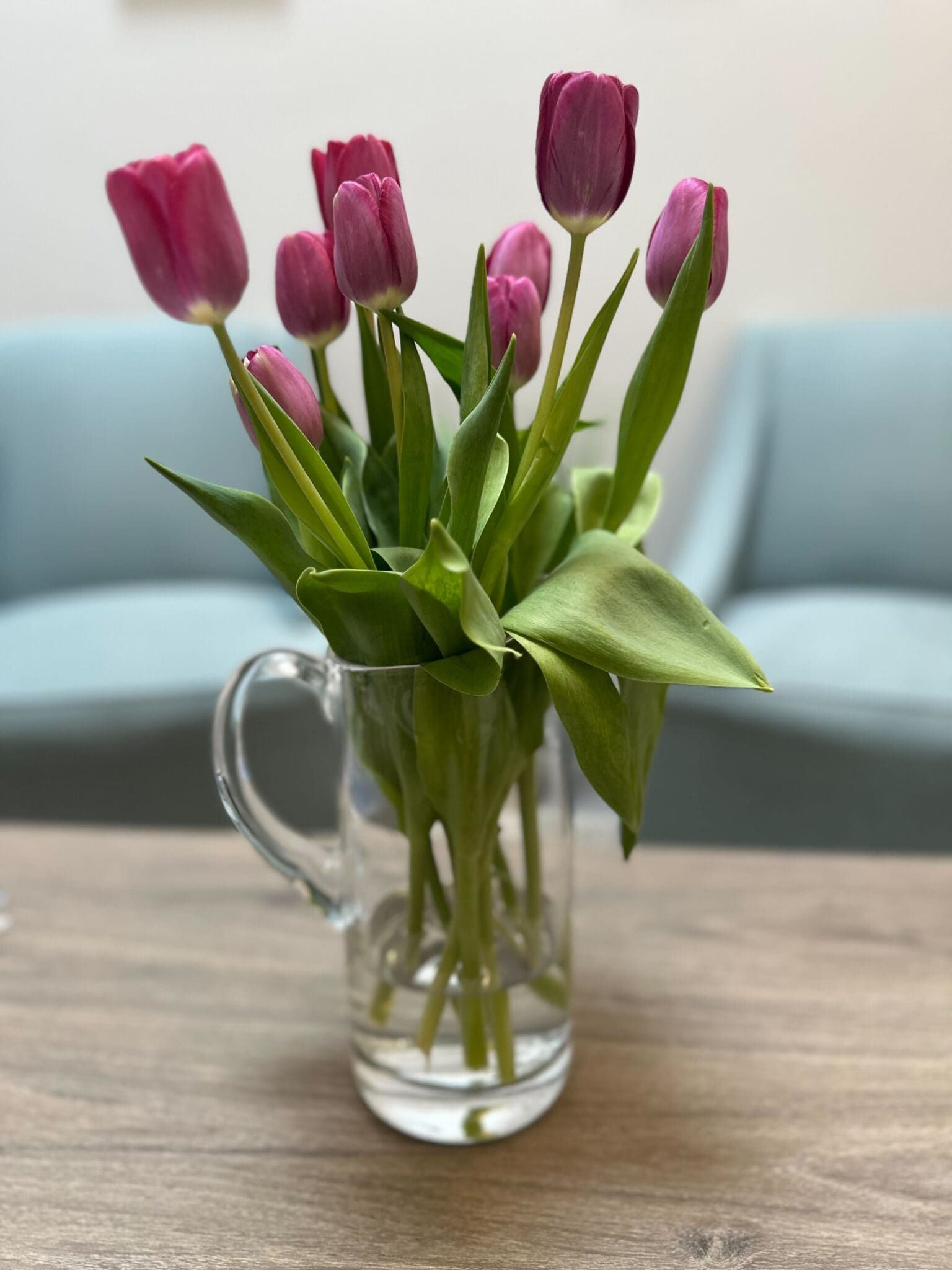 Pink tulips in a clear glass pitcher on a wooden table, with light blue chairs in the background.