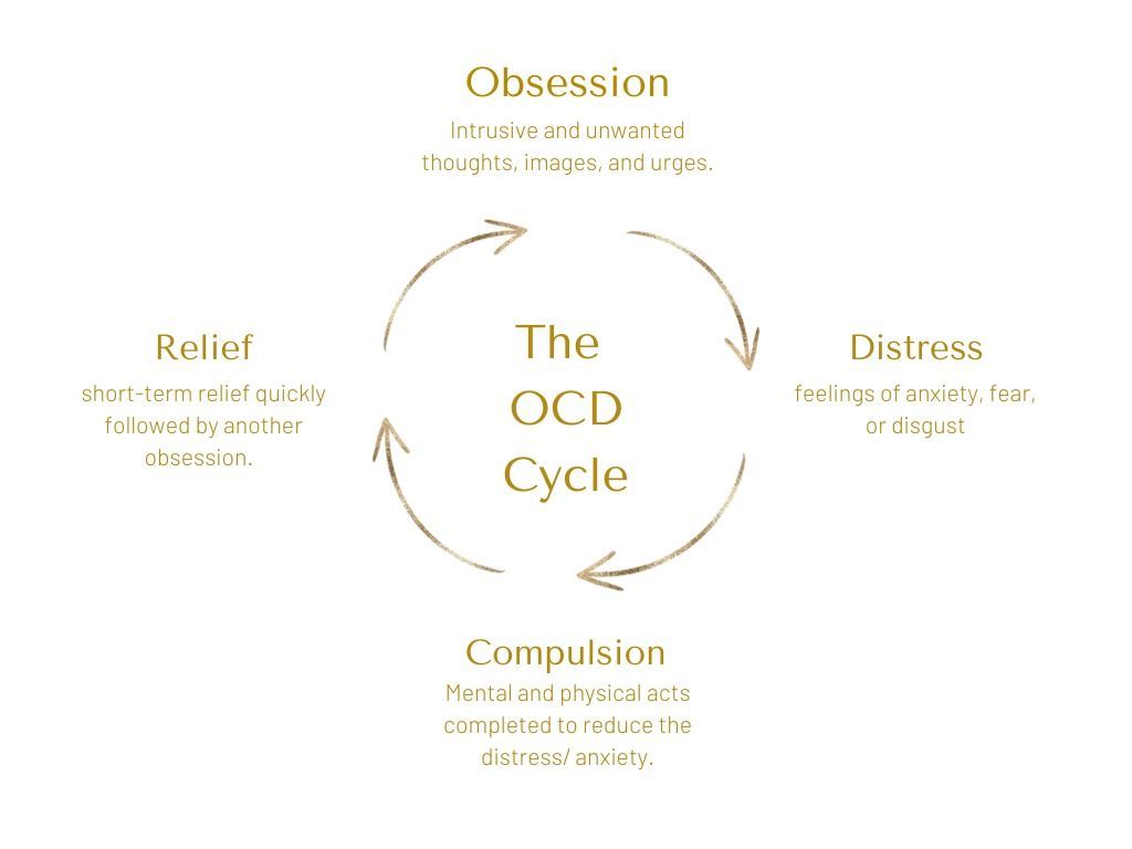 The OCD cycle: Obsession, distress, compulsion, and relief form a circular pattern.