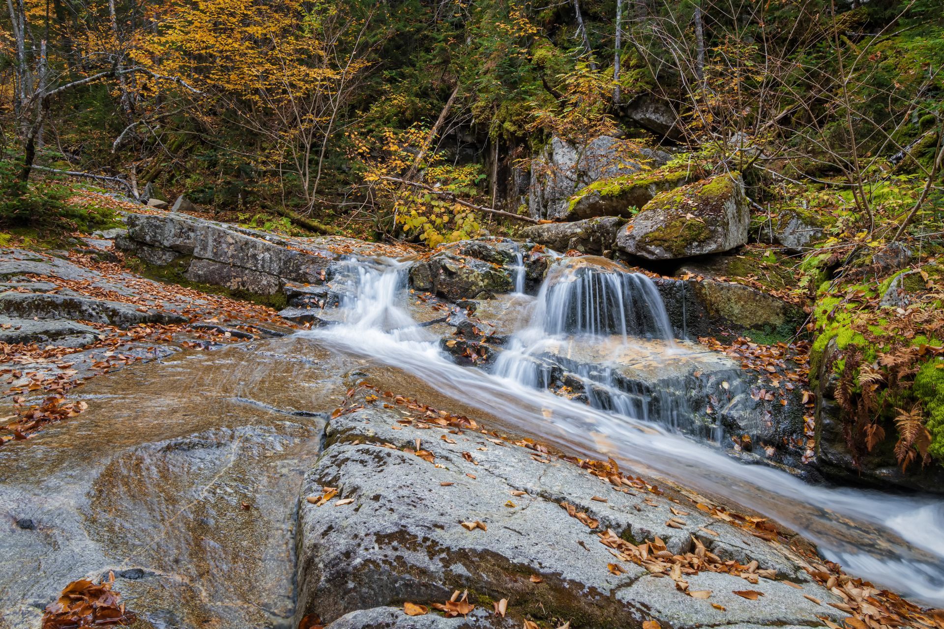 A small waterfall in the middle of a forest surrounded by rocks and trees.