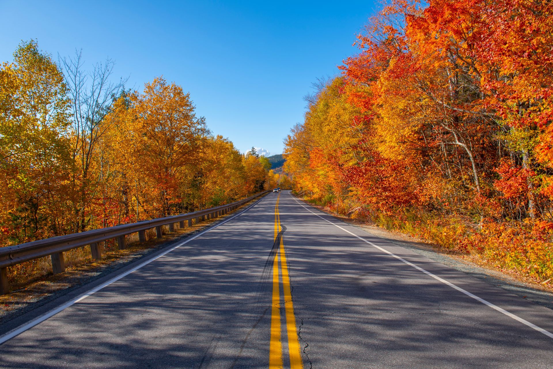 A road with trees on both sides of it and a blue sky in the background.