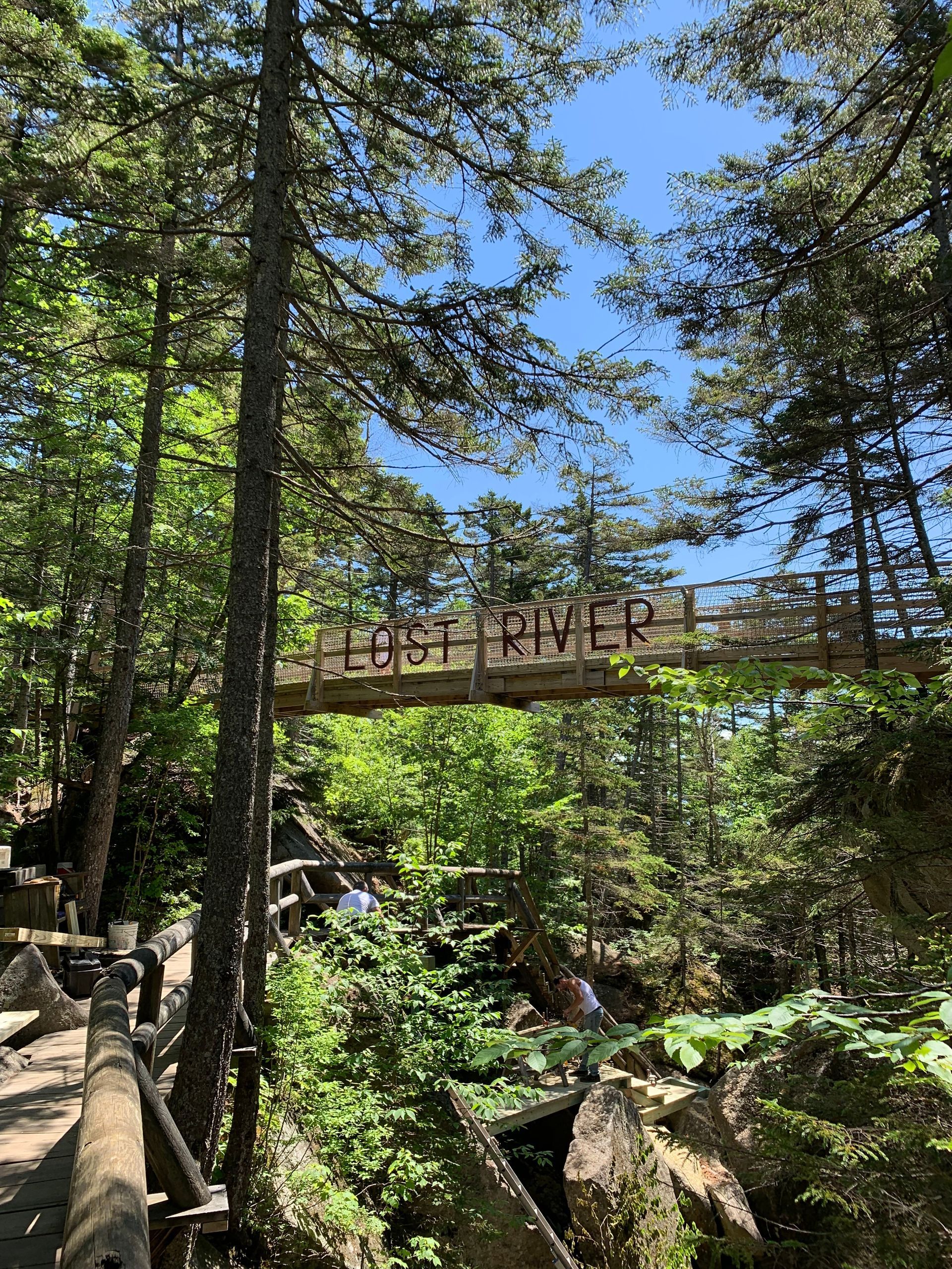 A wooden bridge over a river in the middle of a forest.