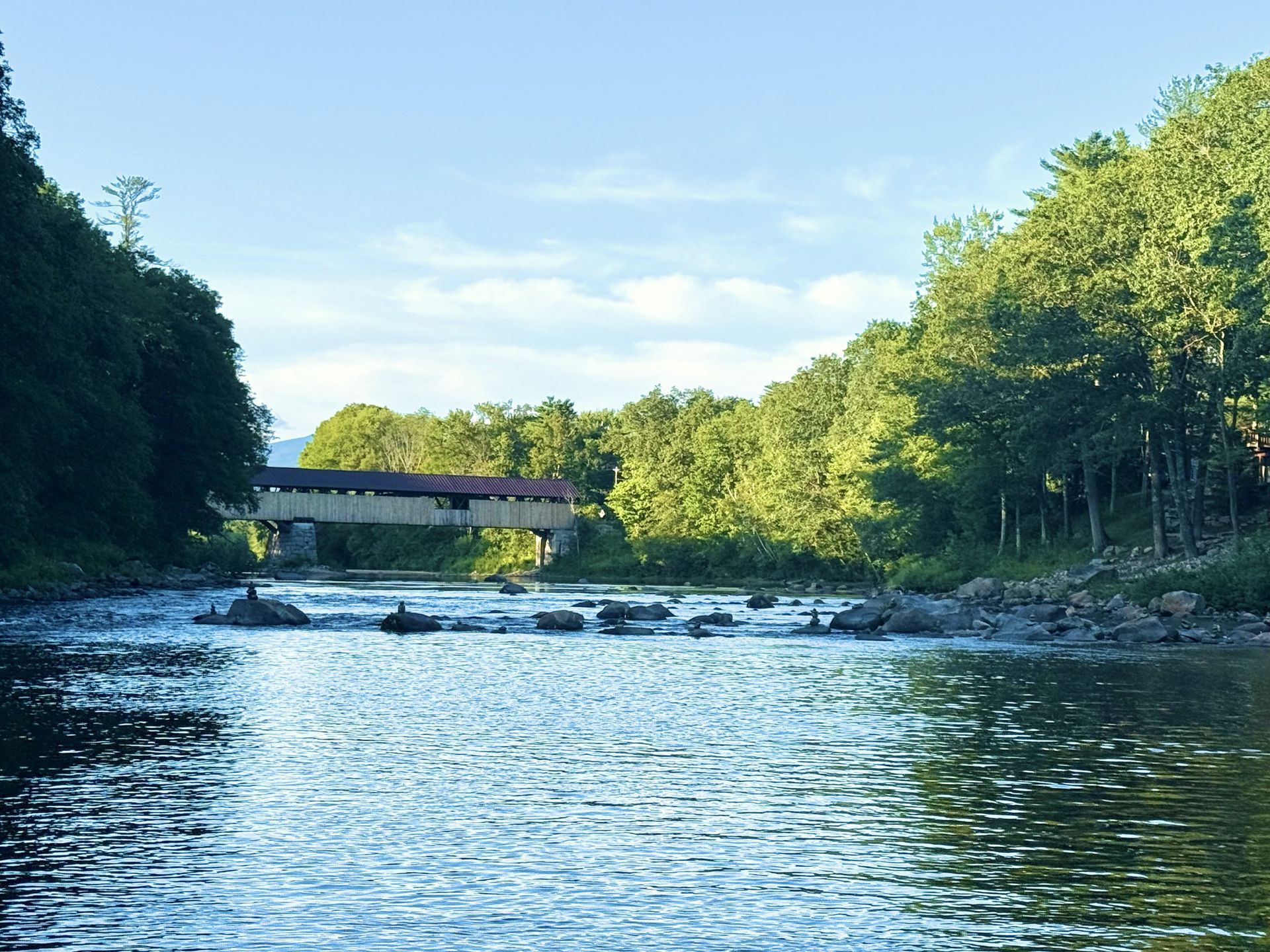 A wooden bridge over a river in the middle of a forest.