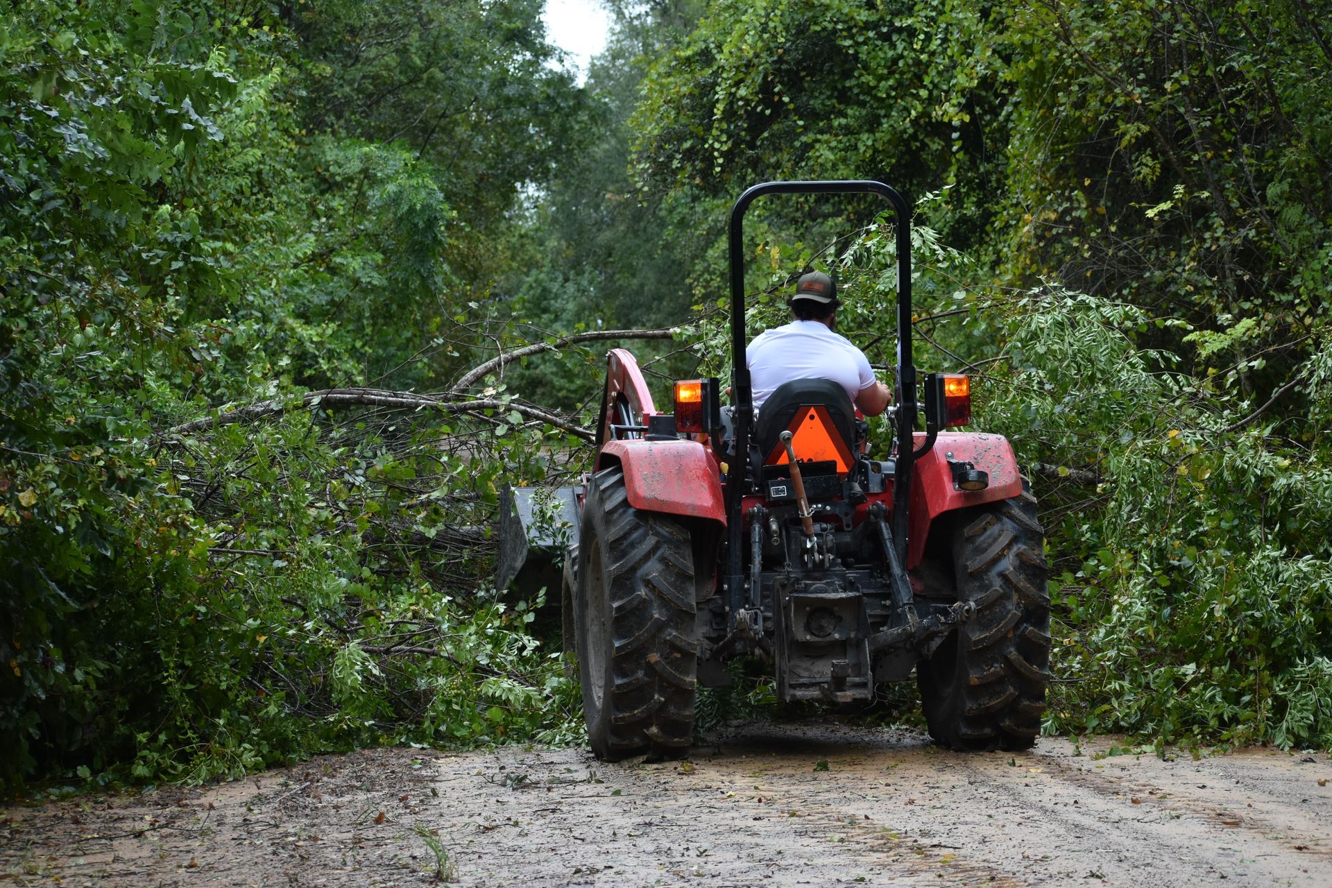 Aftermath of Hurricane Idalia