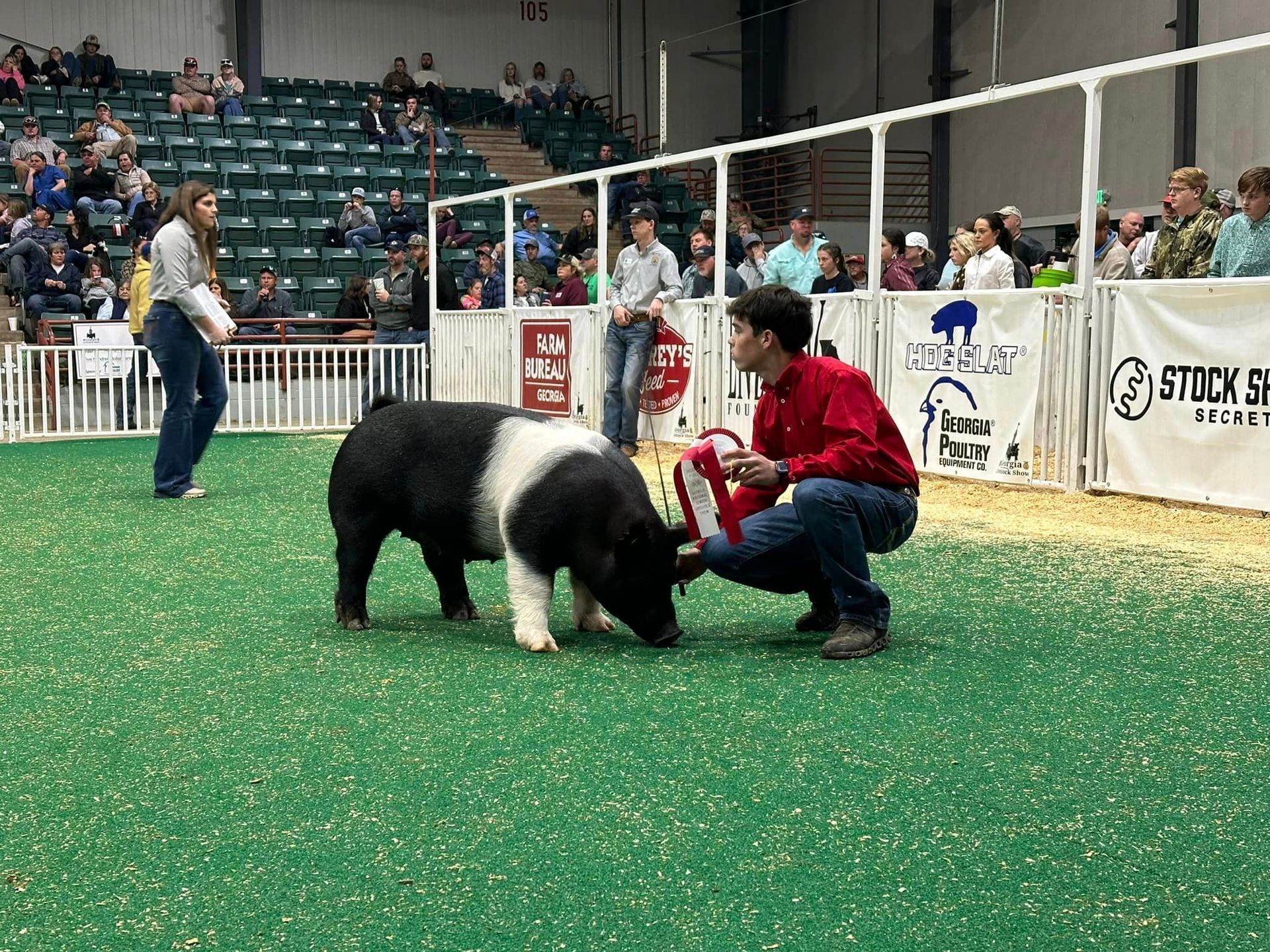 Brooks County FFA Members place in Perry, GA Hog Show