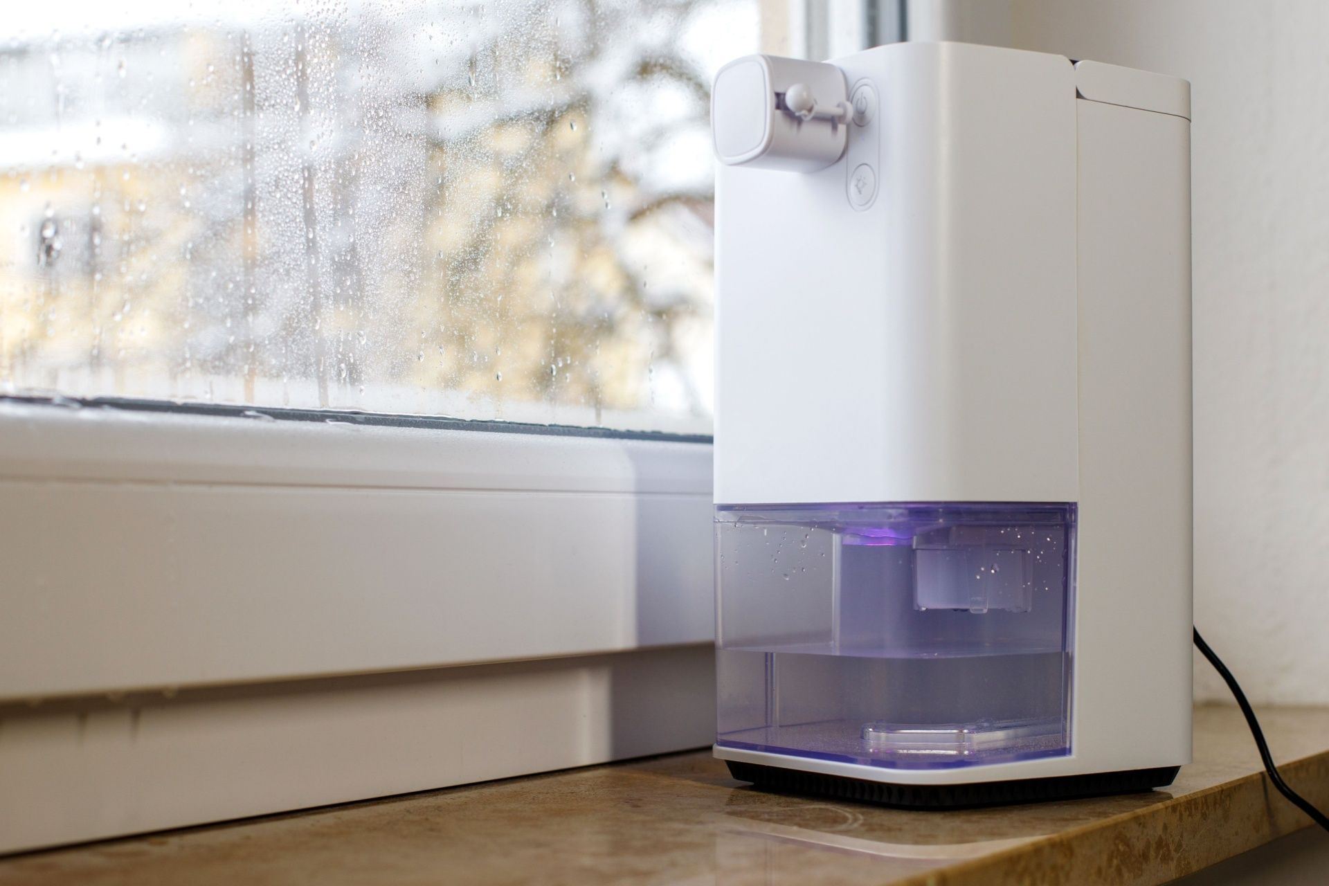 Whole House Dehumidifier