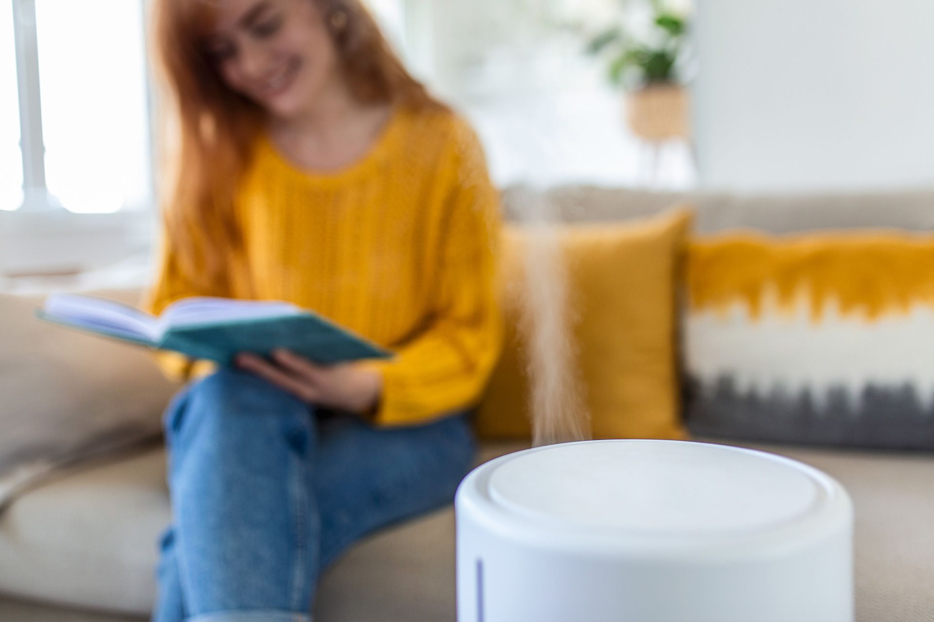 Whole-home humidifier and dehumidifier system