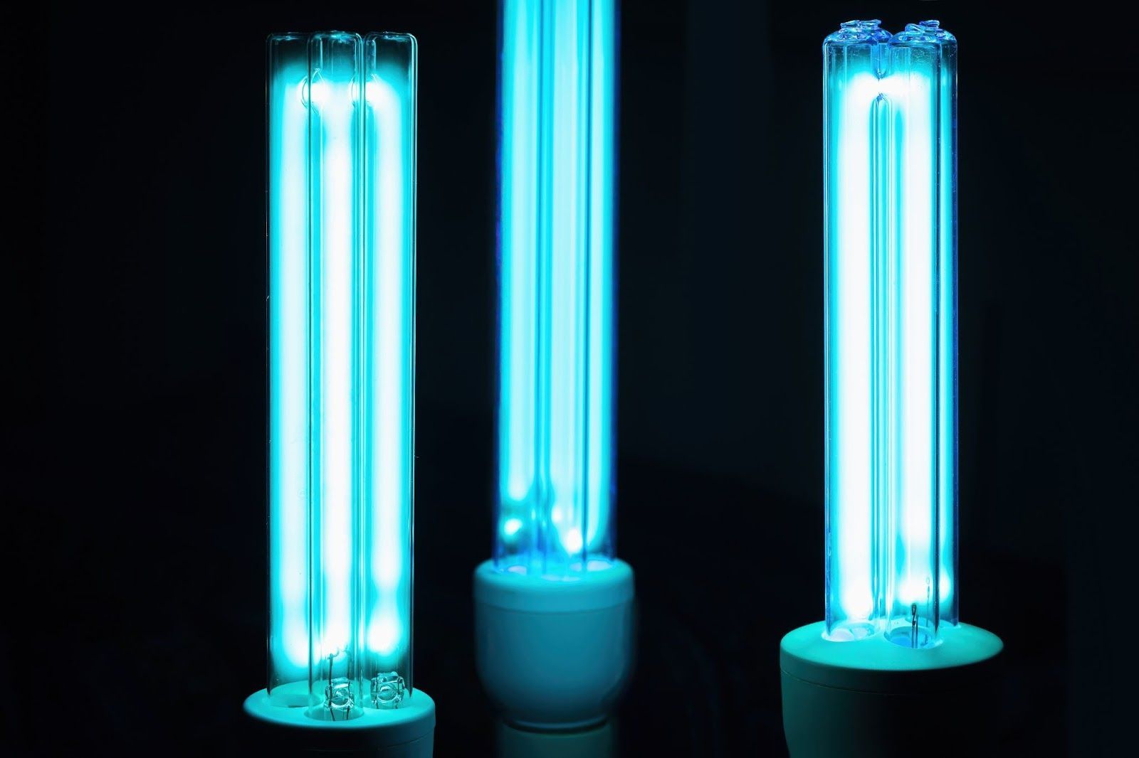 Three uv light bulbs are sitting next to each other in a dark room.