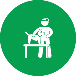 Icona – Veterinaria Icona – Veterinaria