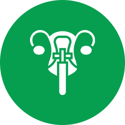 Icona – Citologia Icona – Citologia