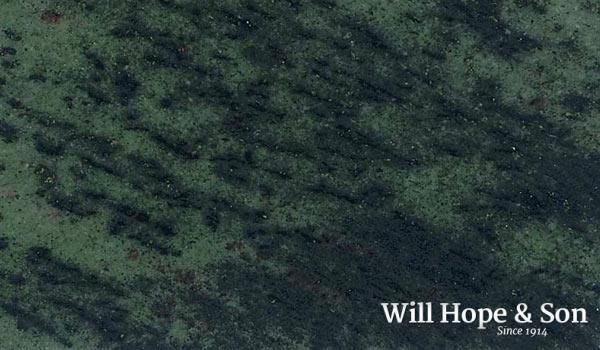 A close up of a green marble slab with the words will hope & son written on it.