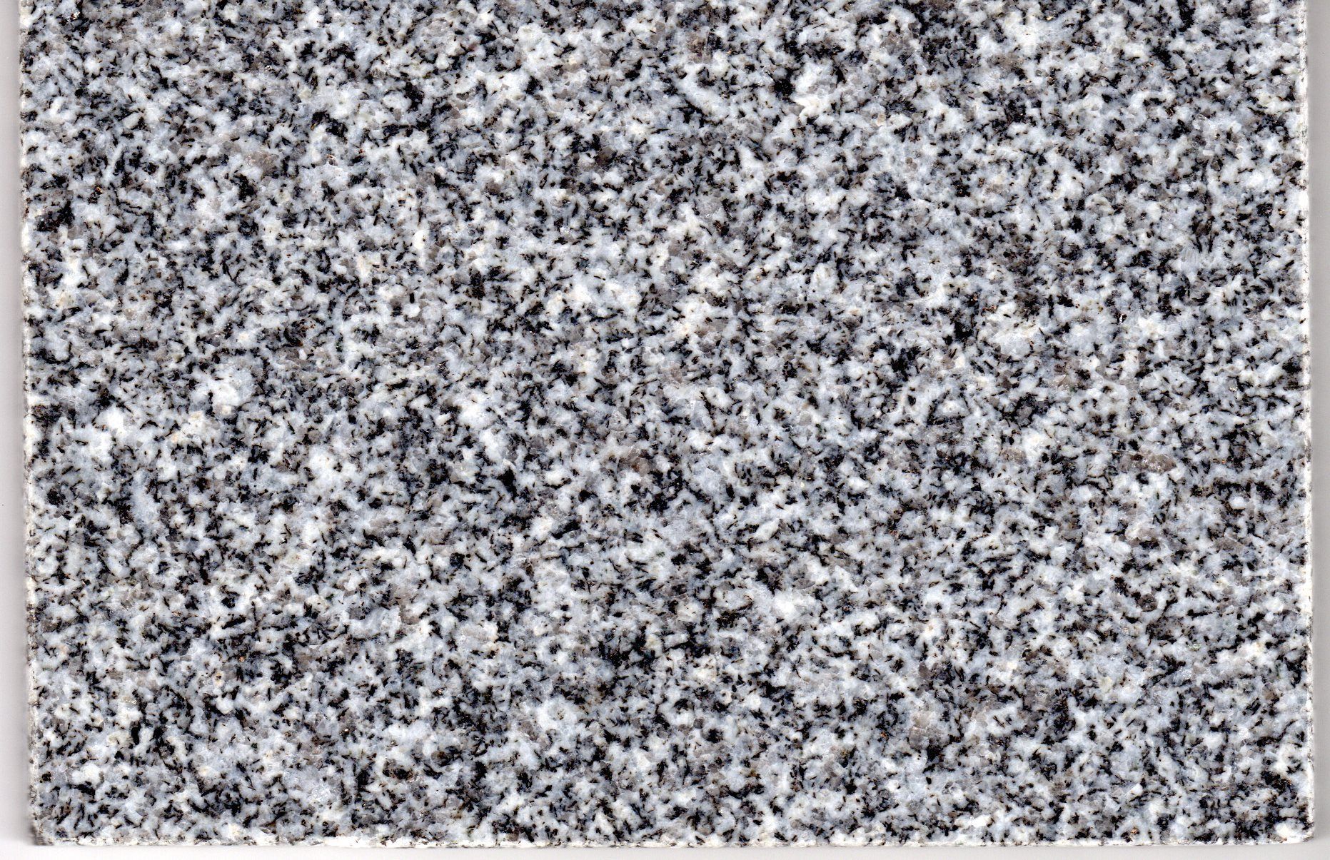 A black and white photo of a carpet texture.
