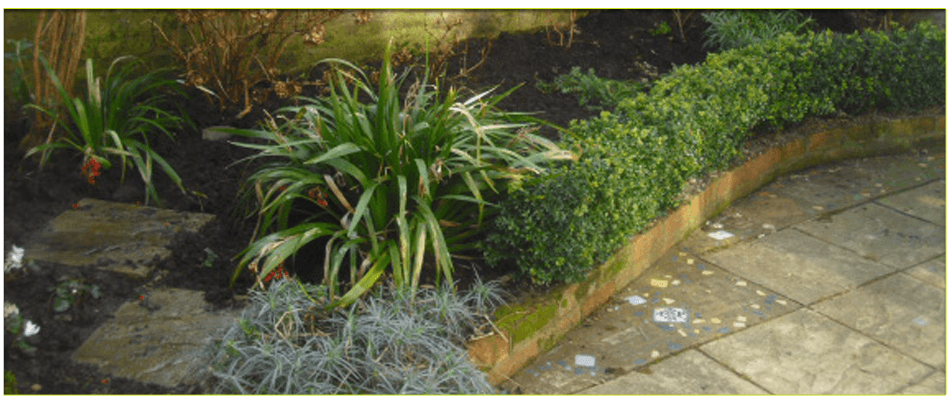 To get help with garden maintenance in North London call 07958 381 049
