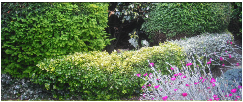 To get help with garden maintenance in North London call 07958 381 049