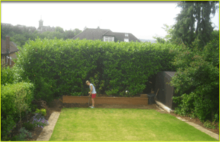 For garden design and landscaping in North London call 07958 381 049