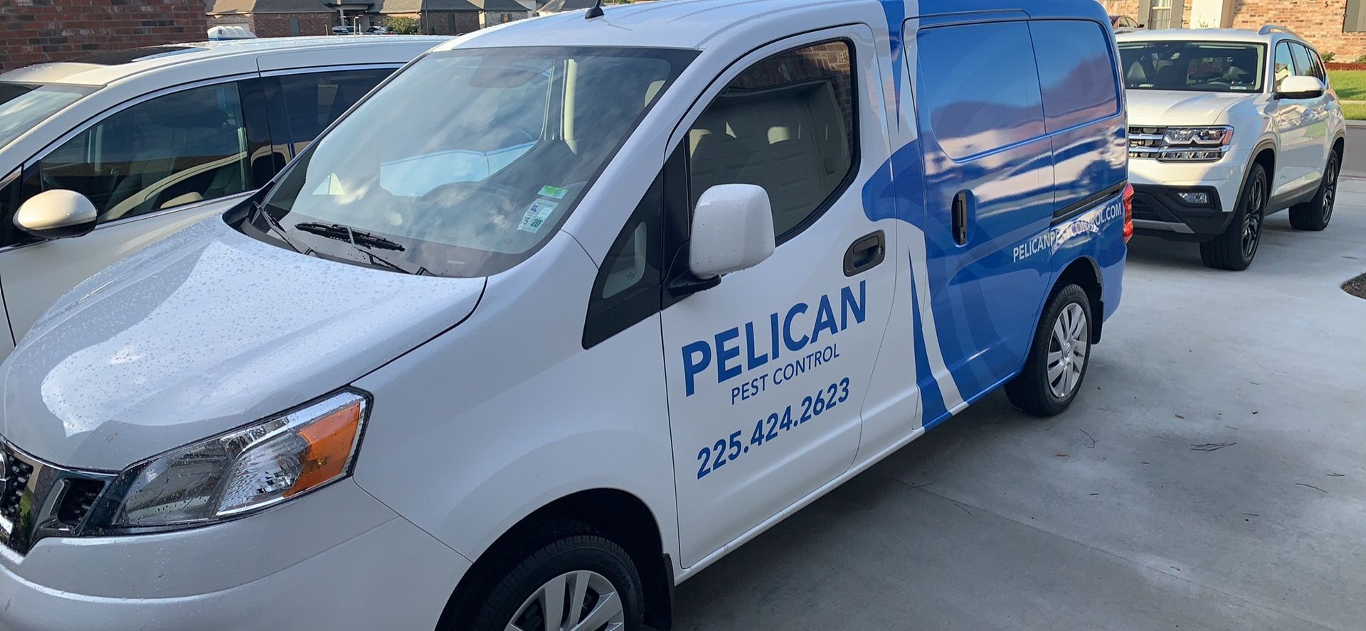 Spider Control Pelican Van