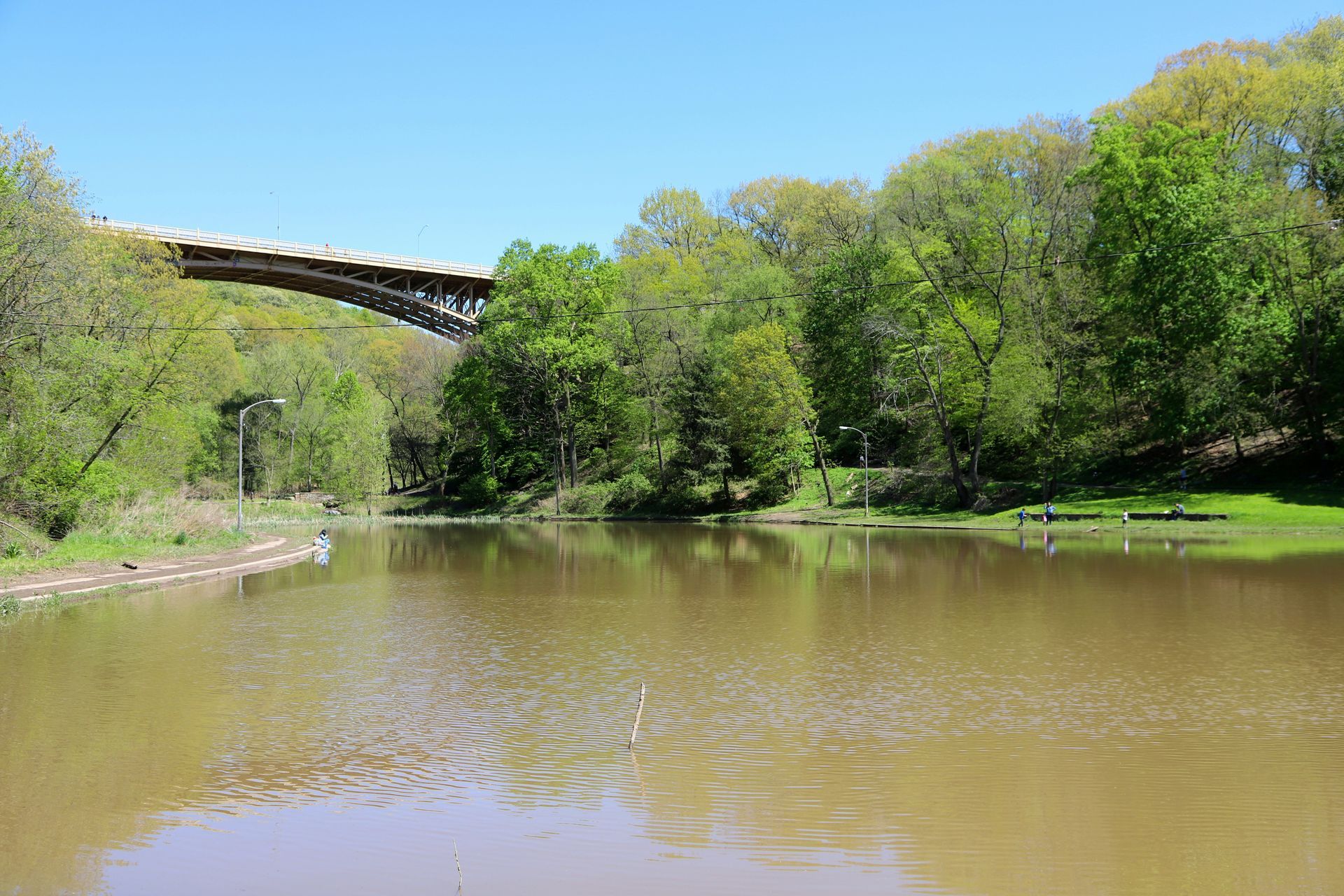 a bridge over a lake surrounded by trees on a sunny day .