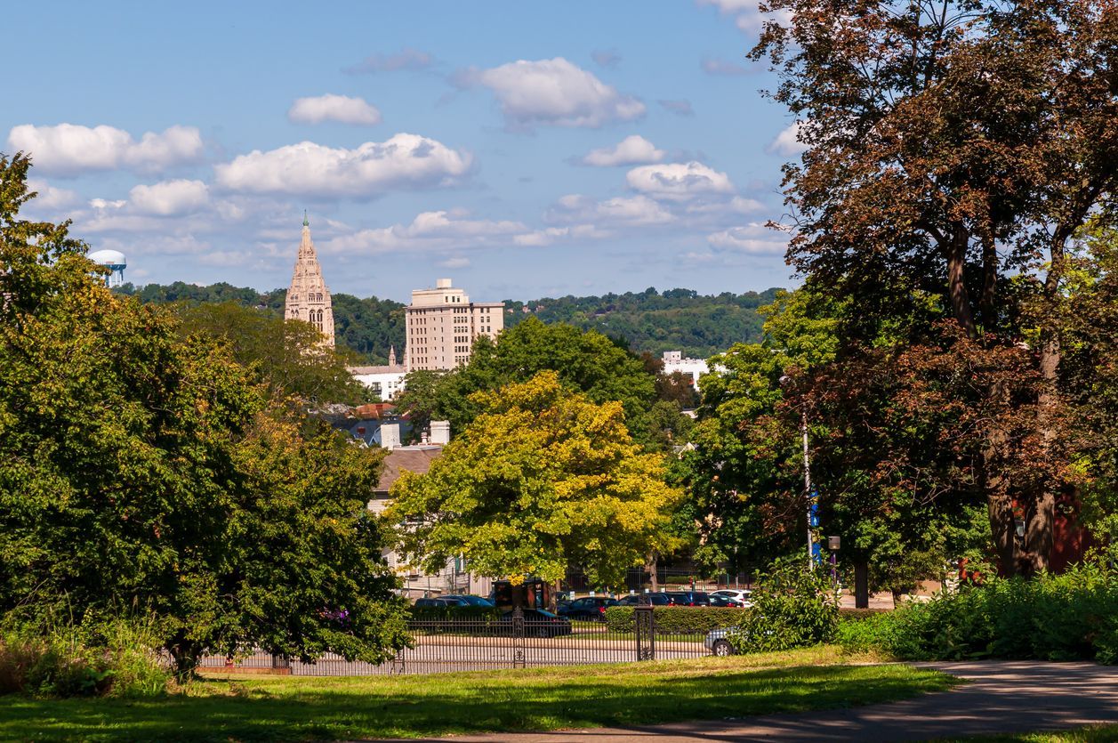 a park with trees and a city in the background on a sunny day .