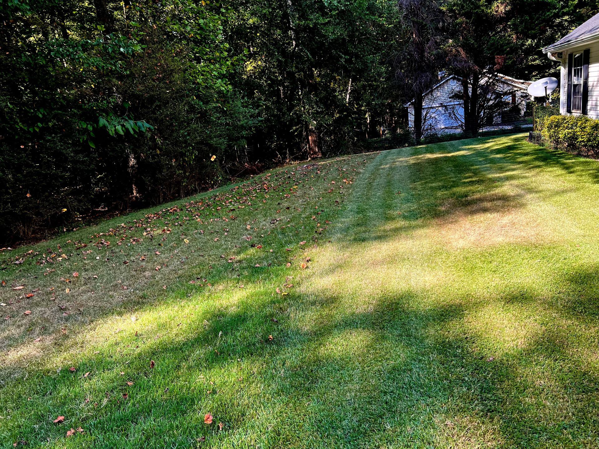 A lush green lawn with trees in the background and a house in the background.