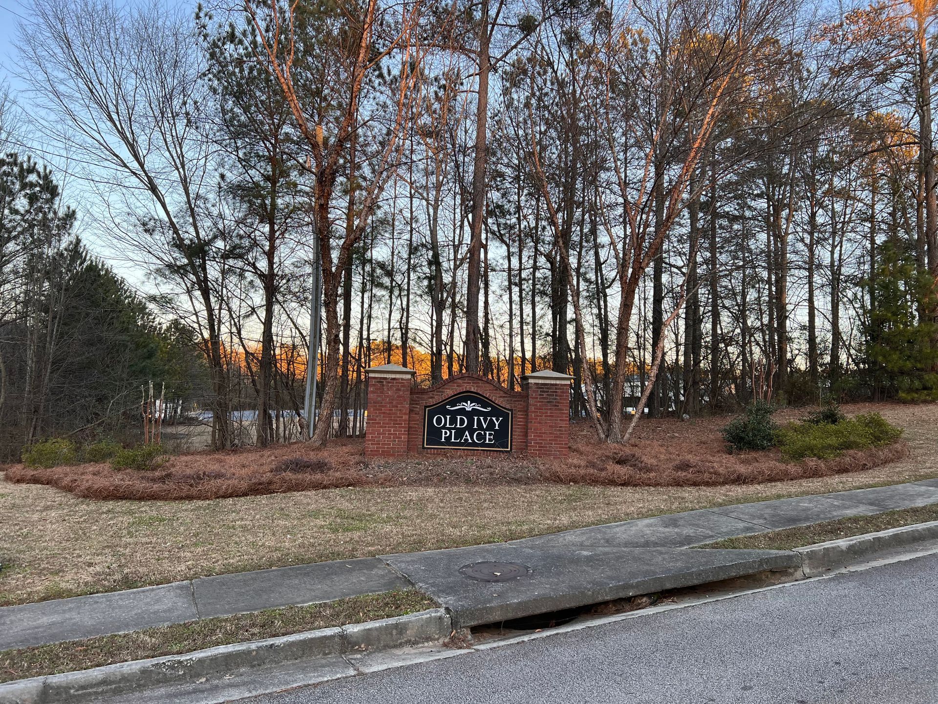 A sign on the side of a road in front of a forest.