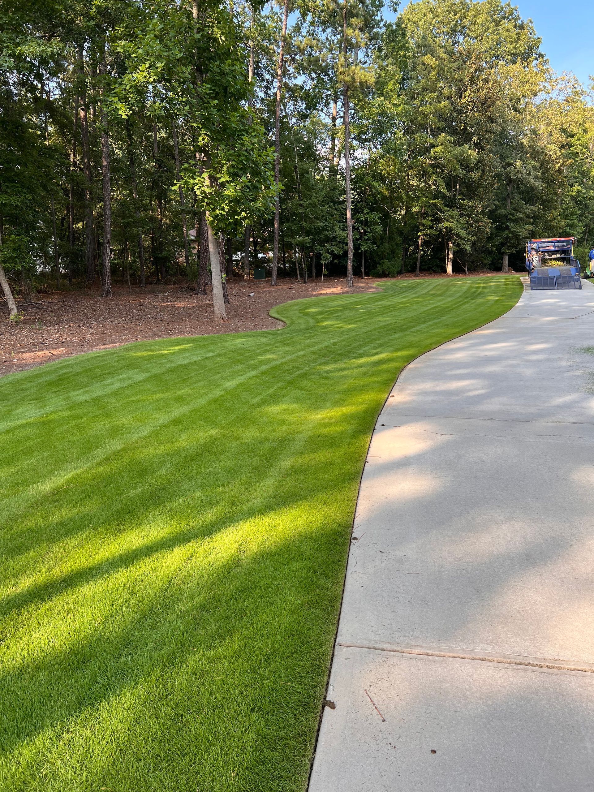 A sidewalk leading to a lush green lawn with trees in the background.