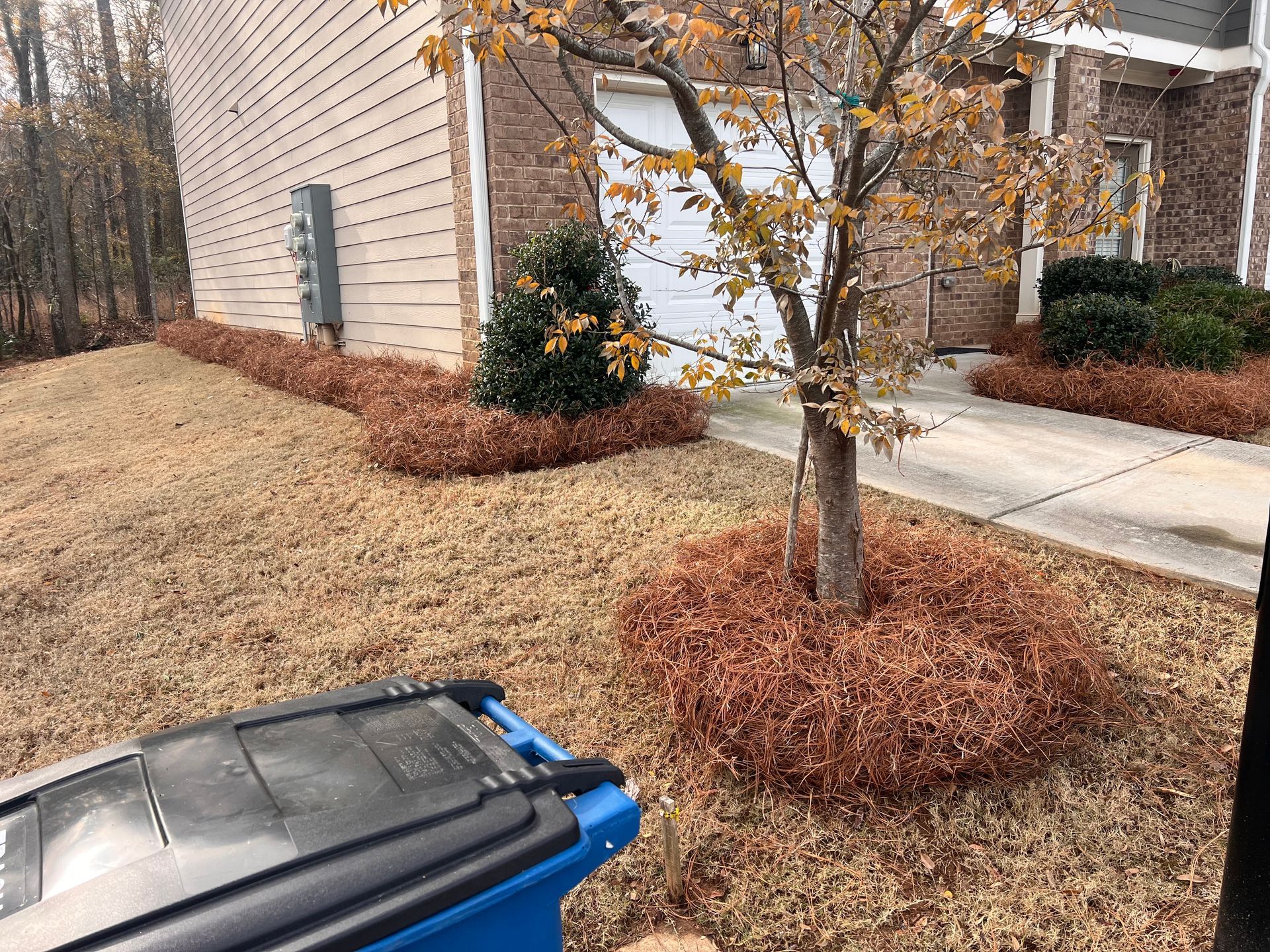 A blue trash can is sitting in front of a house.