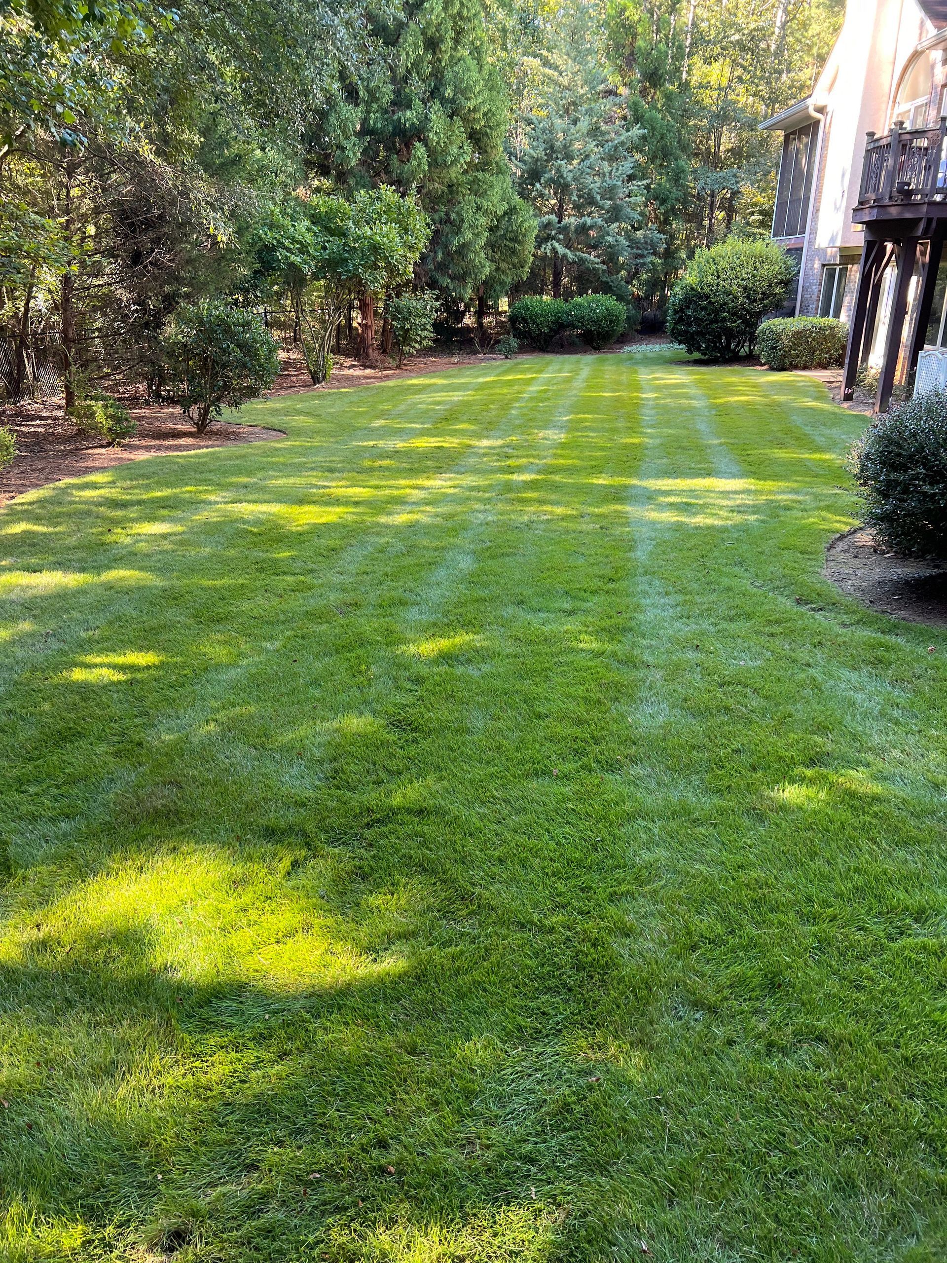 A lush green lawn with trees in the background and a house in the background.