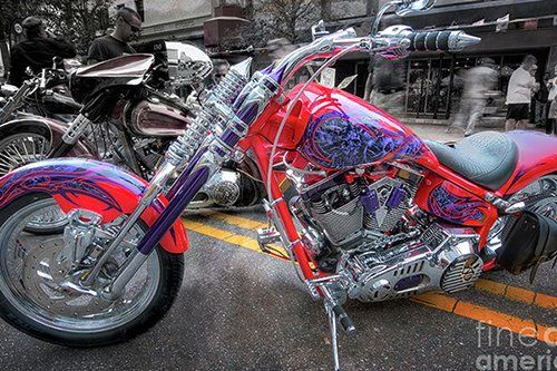 Motor - Motor Cycle Maintenance in Venice, FL