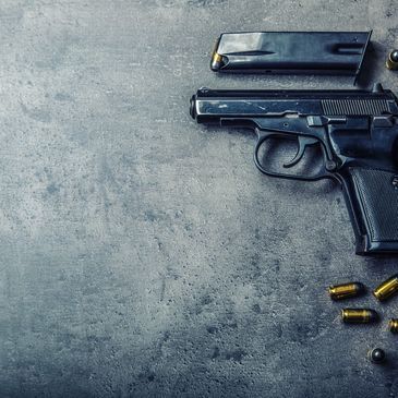 Gun