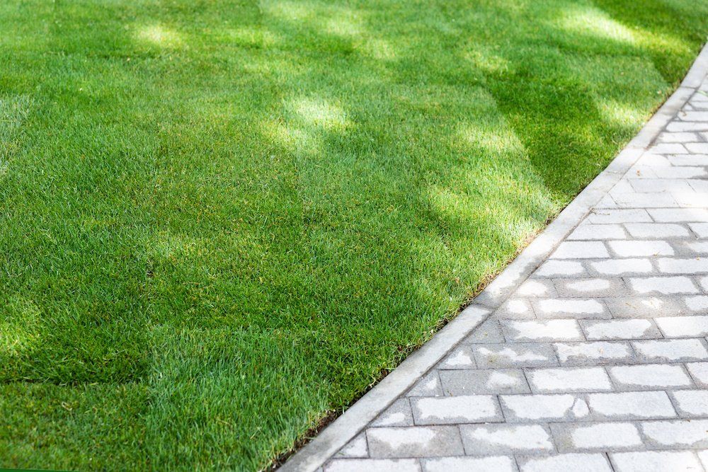 There is a brick walkway next to a lush green lawn.