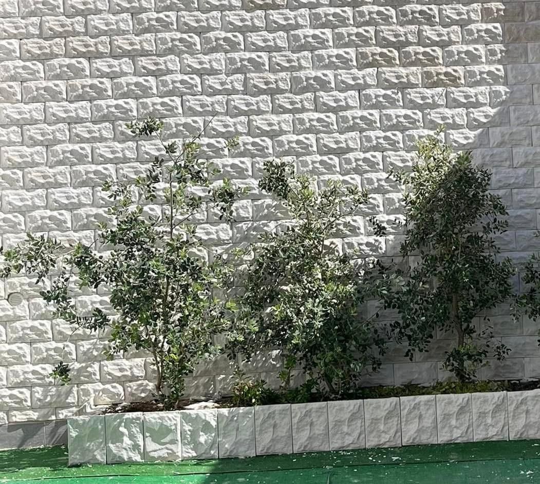 Un muro di mattoni con davanti una fioriera piena di piante.