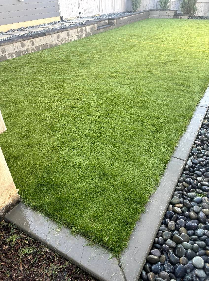 Green lawn bordered by a concrete edge and pebbles, with a retaining wall in the background.