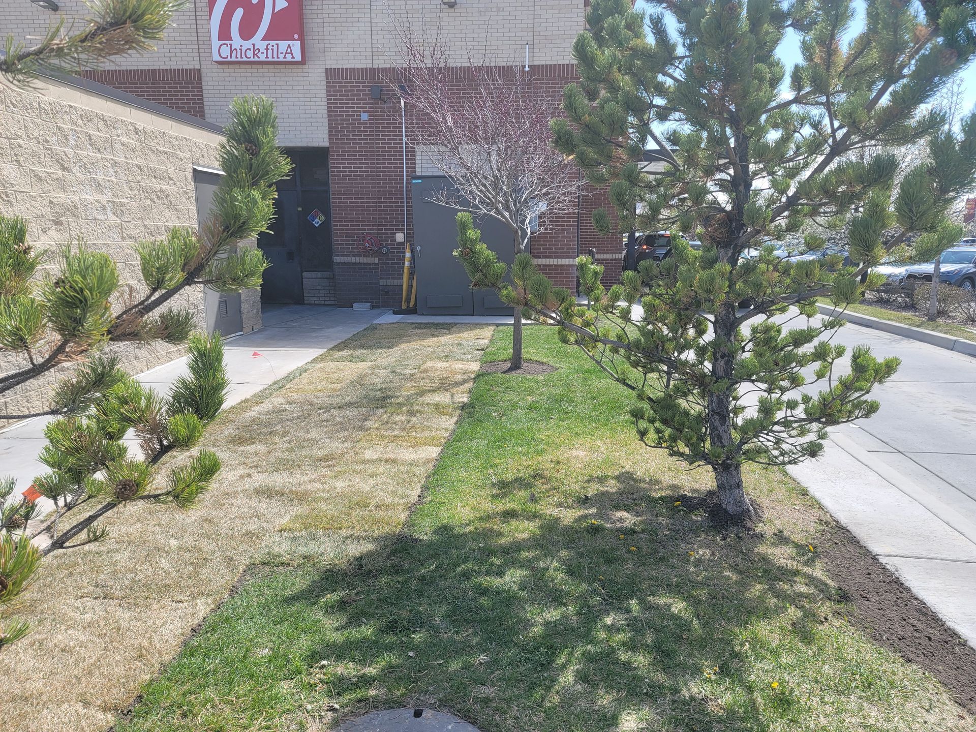 A large building with a red sign on the side of it is surrounded by trees and grass.