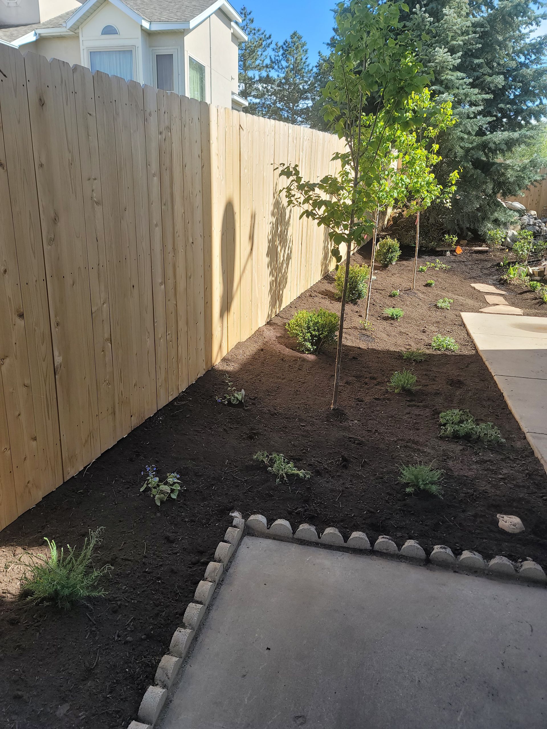 A wooden fence surrounds a lush green backyard.