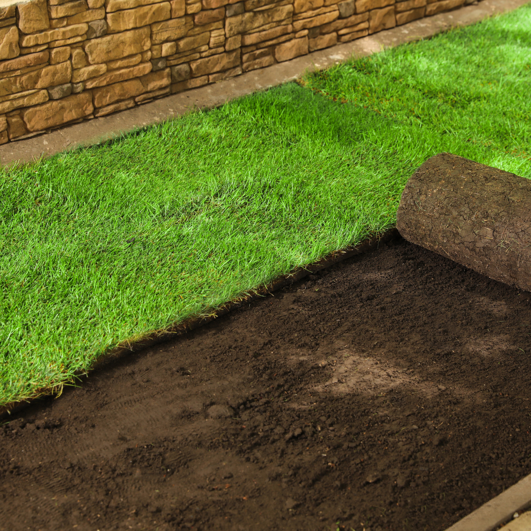 A roll of turf is laying on top of a pile of dirt.