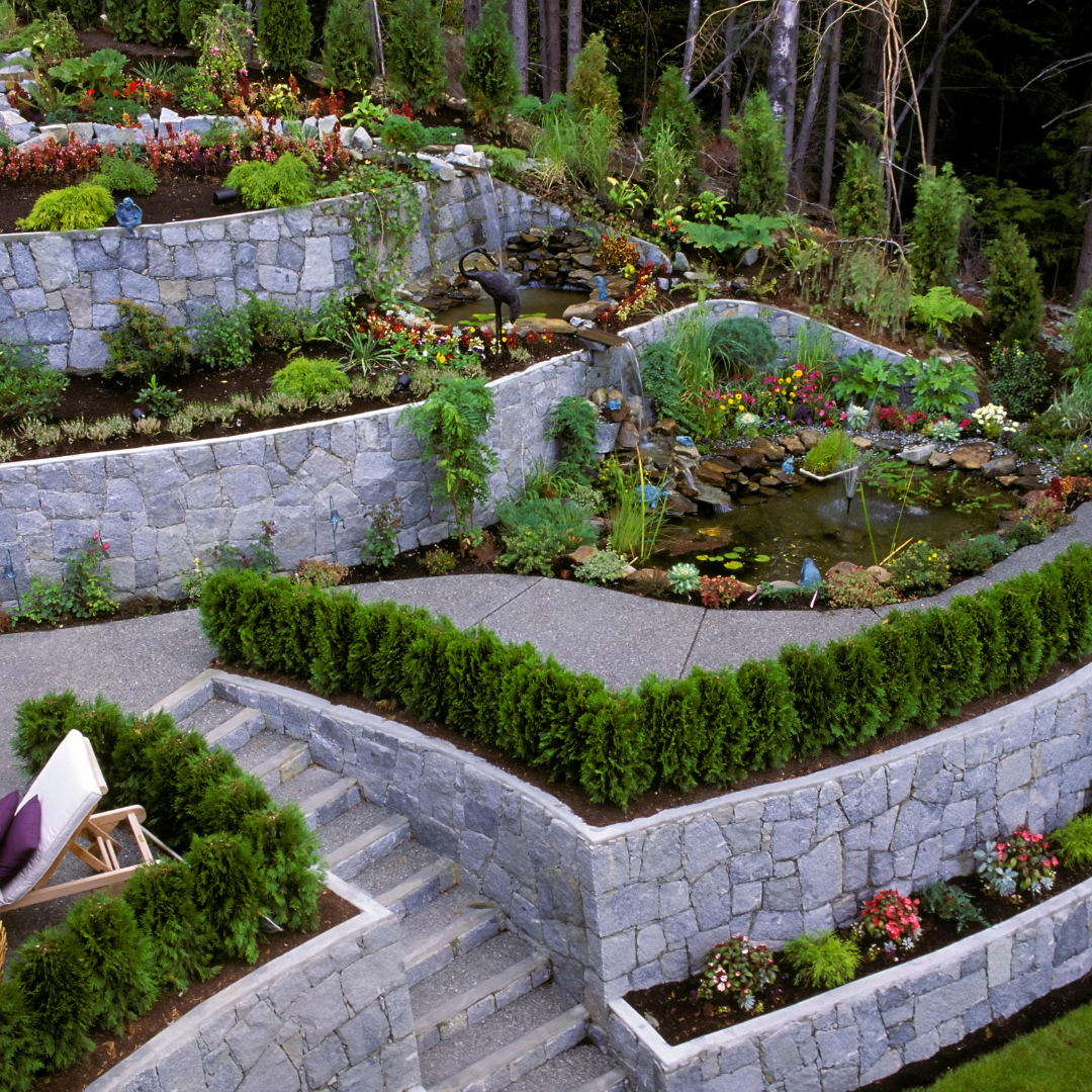 A lush green garden with a pond and stairs