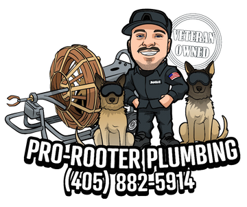 a logo for pro-rooter plumbing shows a man and two dogs