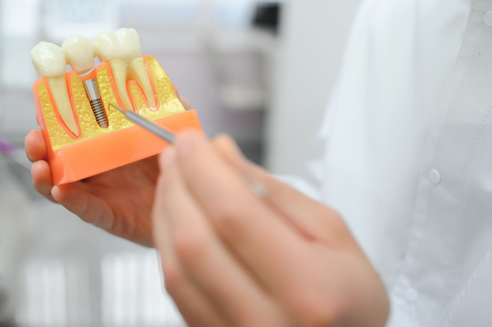 Person demonstrating a tooth model with a dental instrument in a clinic setting