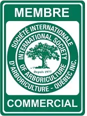 Le logo de la société internationale d'arboriculture est un panneau vert avec un arbre au centre.